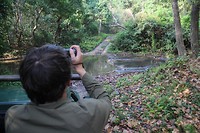 IMG_0290