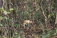 IMG_0292