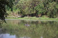 IMG_0320