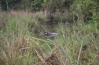 IMG_0343