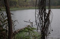 IMG_0365
