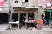 IMG_0604