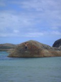 P1212885
