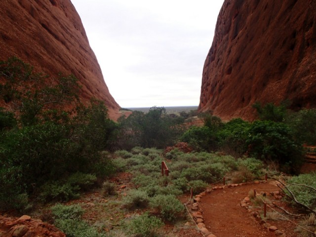 P6060227