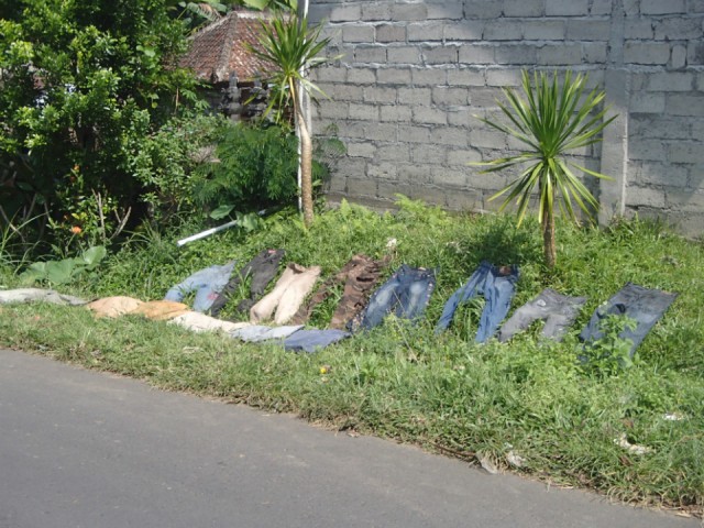 P6200986