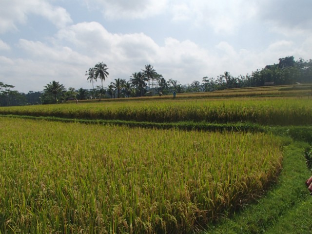P6201014