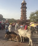 Sardar market en klokkentoren Jodphur