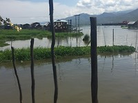Inlemeer, drijvende tuinen