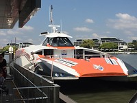 De ferry over de rivier van Brisbane
