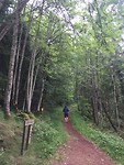 Wandelen in het bos in Kinnekule