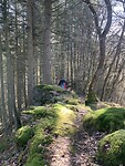 De pittige maar prachtige route naar Vianden