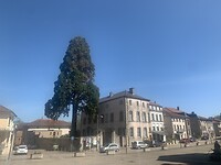 Dorpsplein Vic-sur-Seille