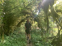 De bemoste bomen langs Le Doubs