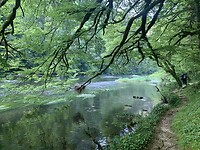 De oevers van Le Doubs