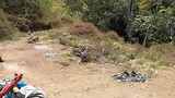 Wilde apen op vulkaan Rinjani