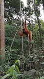 VID_20171121_141941
