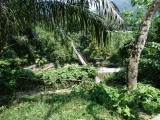 Hangbrug naar Jungle Lodge