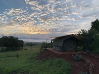IMG_7334