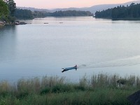 IMG_8040