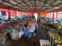 IMG_8149