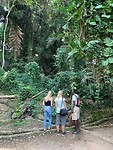IMG_8203