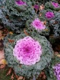 20121003_174104