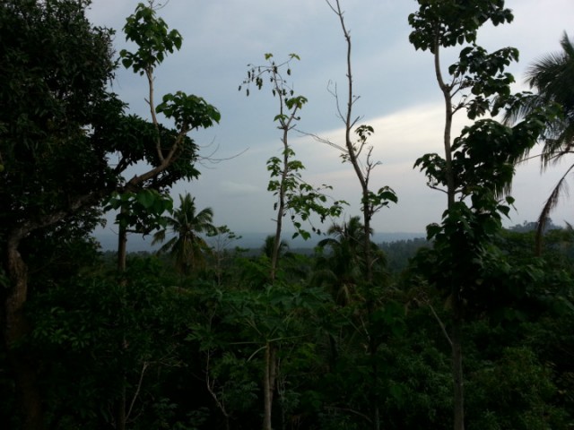 2012-12-02 15.09_.10_