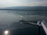 2012-12-03 08.20_.46_