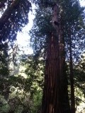 20130428_085825_1