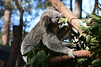 DSC_0027_6