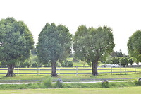 DSC_0074_5