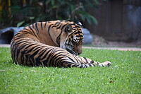 DSC_0440_1