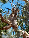 IMG-20221113-WA0006