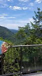 Klimtoren Mamo tropical Skywalk