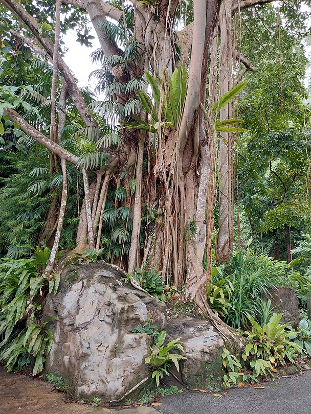 Botanische tuinen