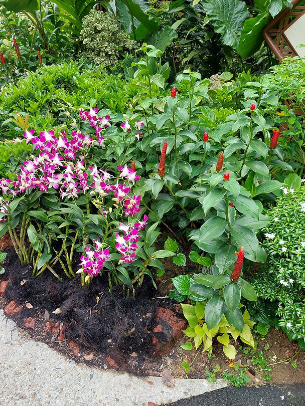 Botanische tuinen