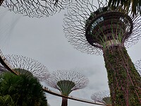 20221119_174311