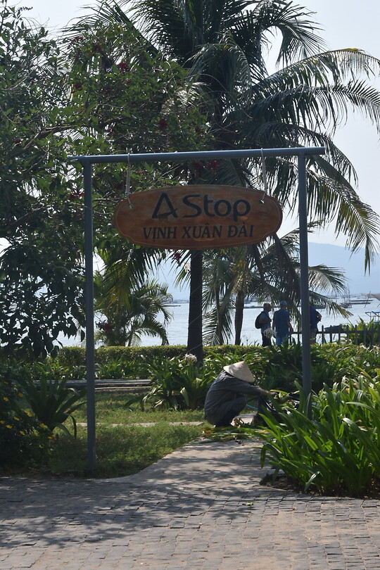 DSC_0001_18