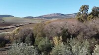 Onderweg naar Ronda