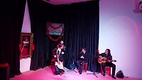 Flamenco dansen
