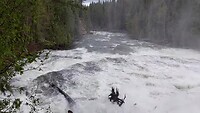 Dawson falls