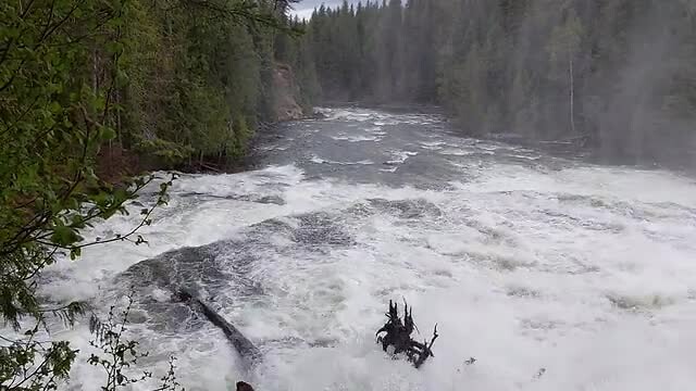 Dawson falls