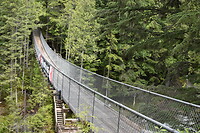 Suspension brigde Grazy Creek,