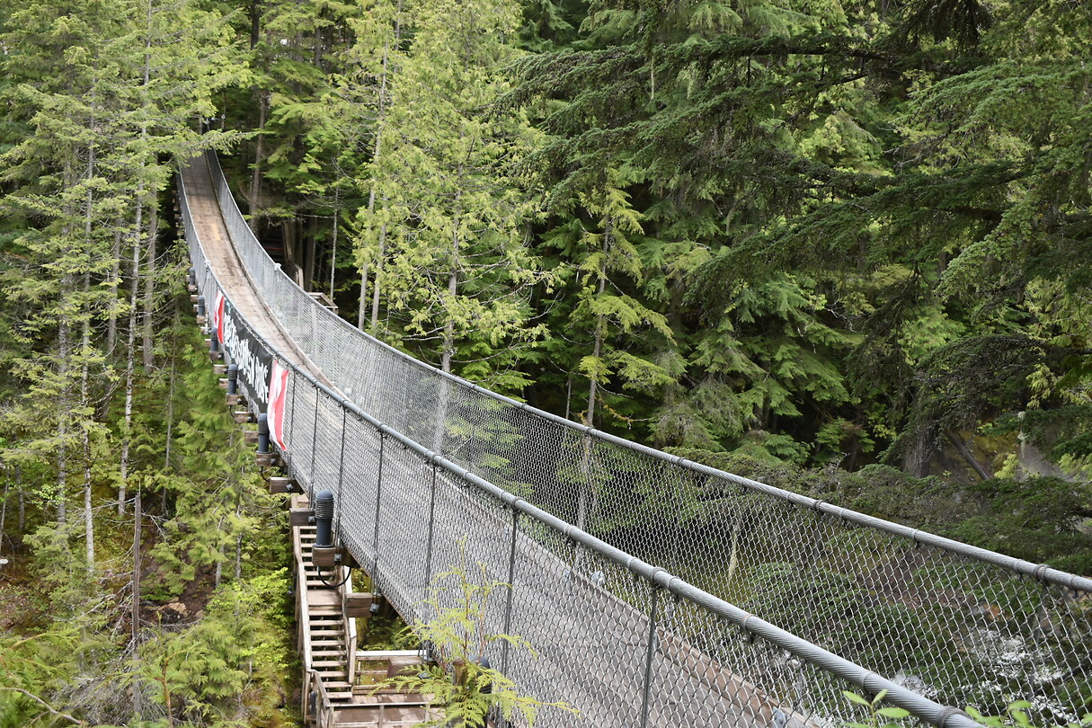 Suspension brigde Grazy Creek,