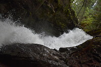 DSC_0024_8