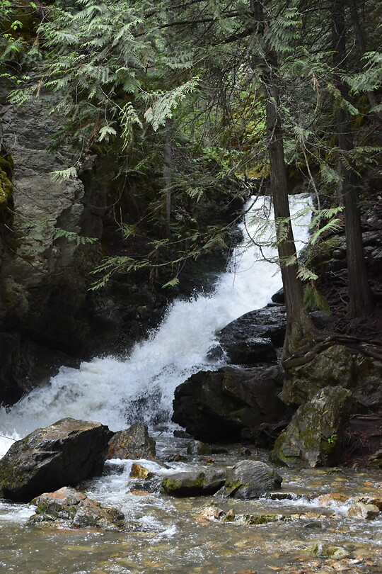DSC_0021_8
