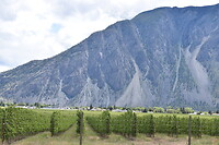 DSC_0070_2