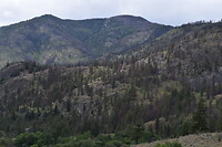 DSC_0066_2