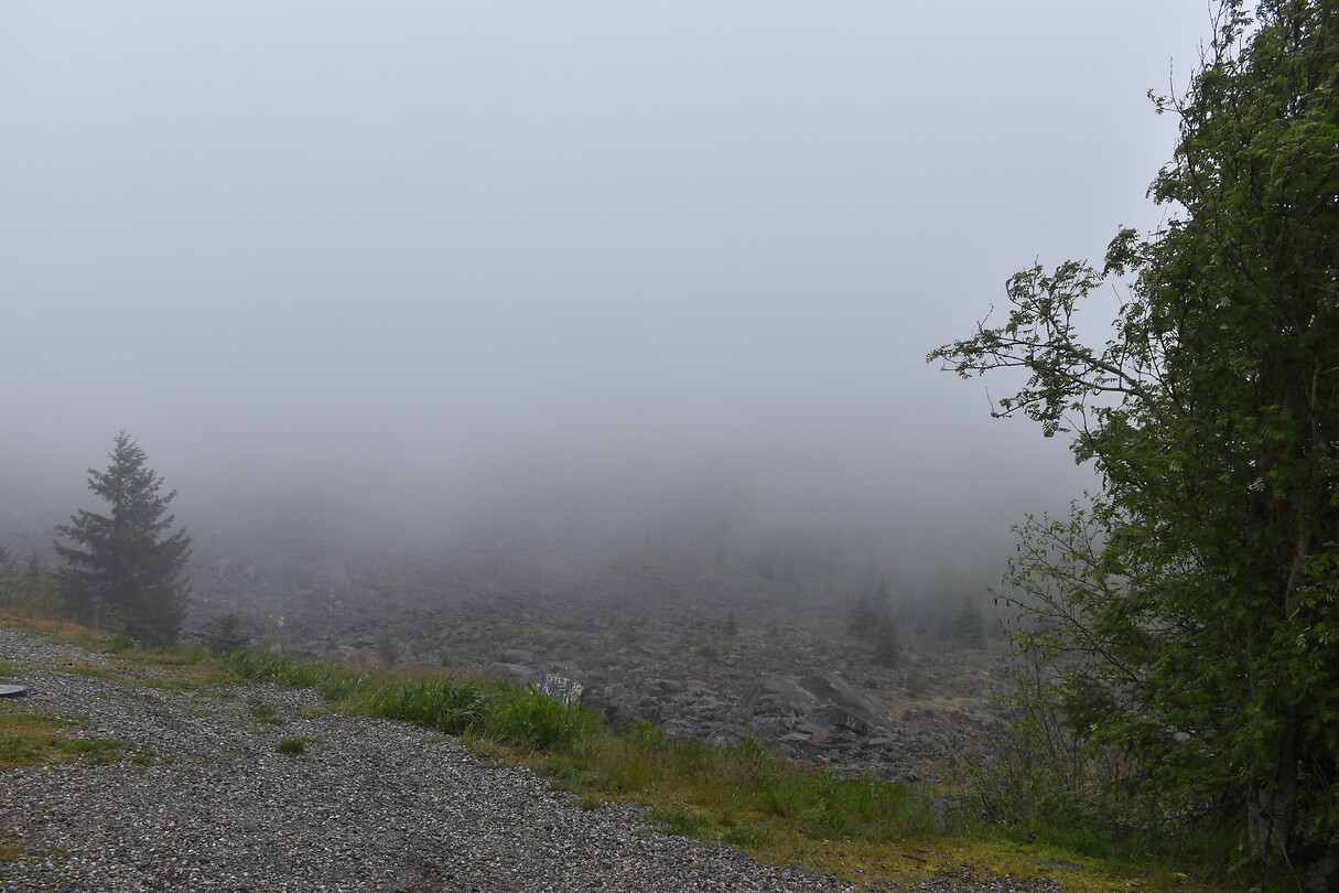 DSC_0004_17