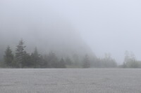 DSC_0005_17